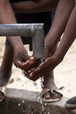 ngo-software-app.jpg organise aid distribution