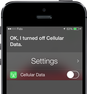 Mobile offline data collection